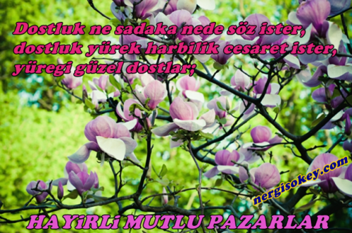 PAZAR - Resmet.net