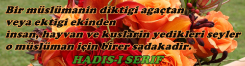 Hadis - Resmet.net