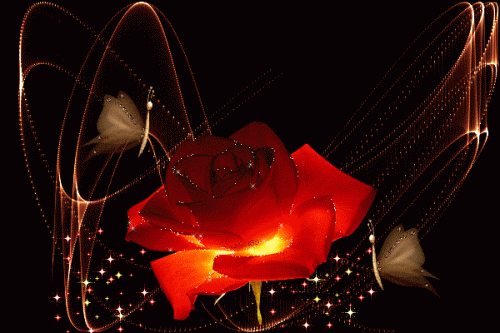 309695-Sparkling-Red-Rose.gif