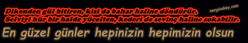 dikenigul.png