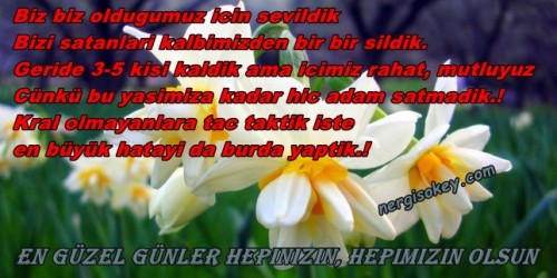 5598-Kopie-Kopie-Kopie-Kopie-Kopie-Kopie.jpg