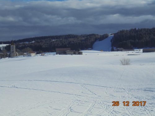 DSC00749.jpg