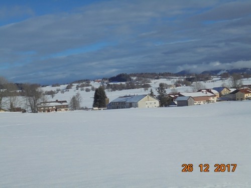 DSC00750.jpg