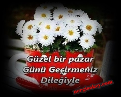 Pazar - Resmet.net