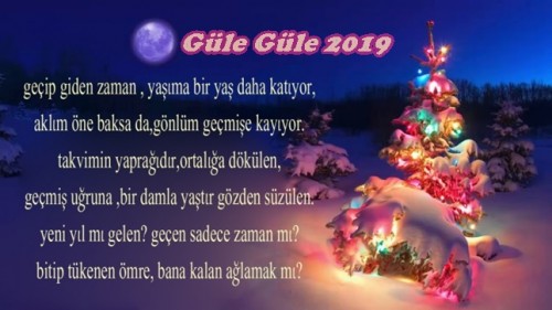 2019_yeni_yil_mesajlari_anlamli_sozler_1546243337_8367.jpg