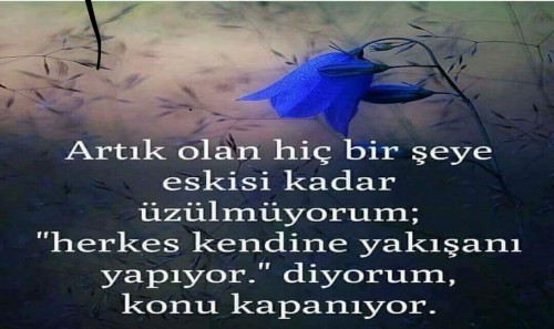 e6ca897ac47c6eae2fa6e28dbdccadbc.jpg