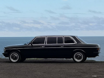 COSTARICAOCEANVIEW.MERCEDES300DLIMO.jpg