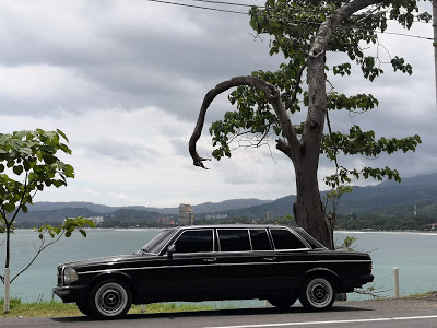JACOBEACHCOSTARICAMERCEDESW123LIMOUSINE.jpg
