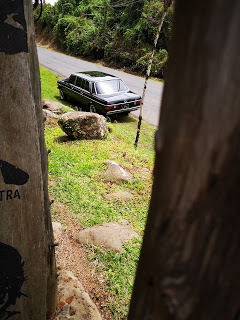 COSTARICACOUNTRYLIMOUSINE.300DMERCEDESW123TOURS.jpg
